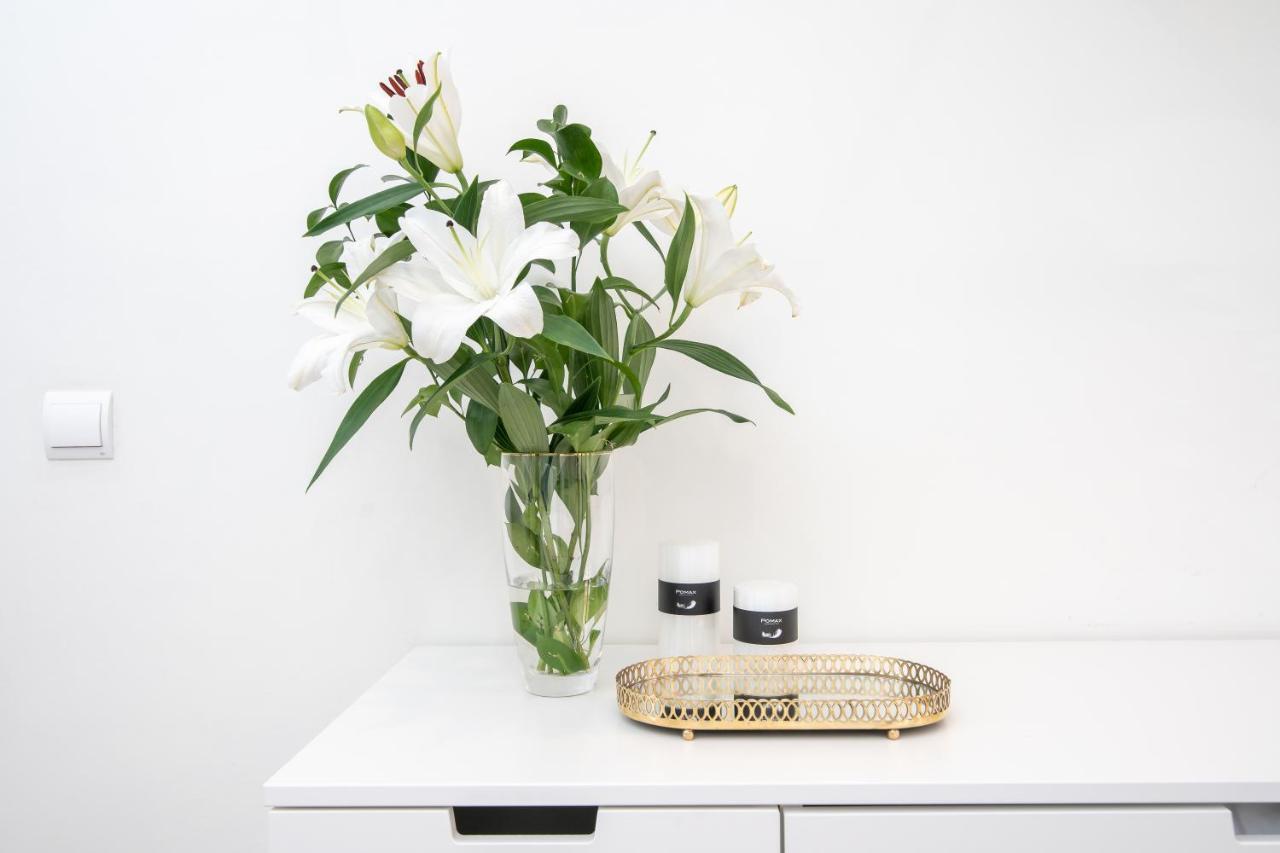 Iloftmalaga Sebastian Souviron Apartment Ngoại thất bức ảnh